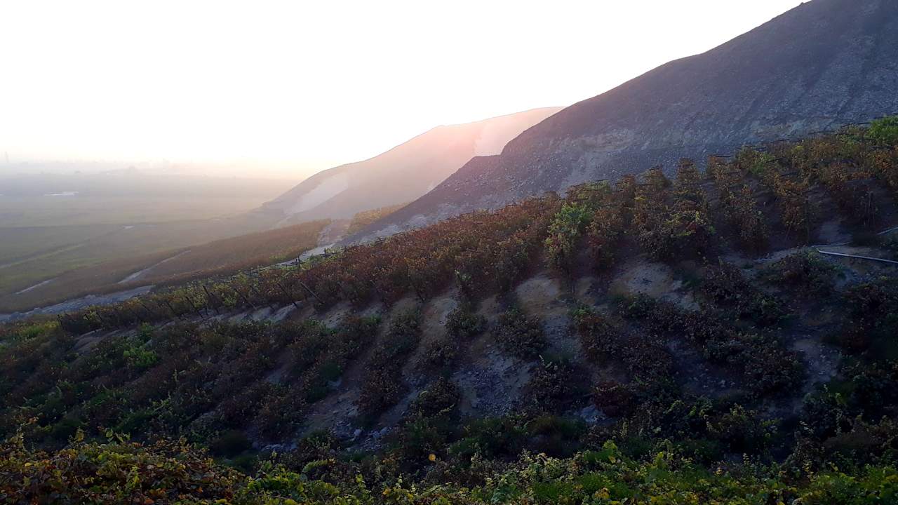Ausblick Hotel Viñas Queirolo