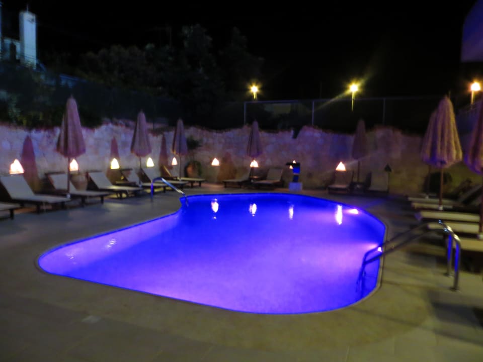 So romantisch Cactus Royal