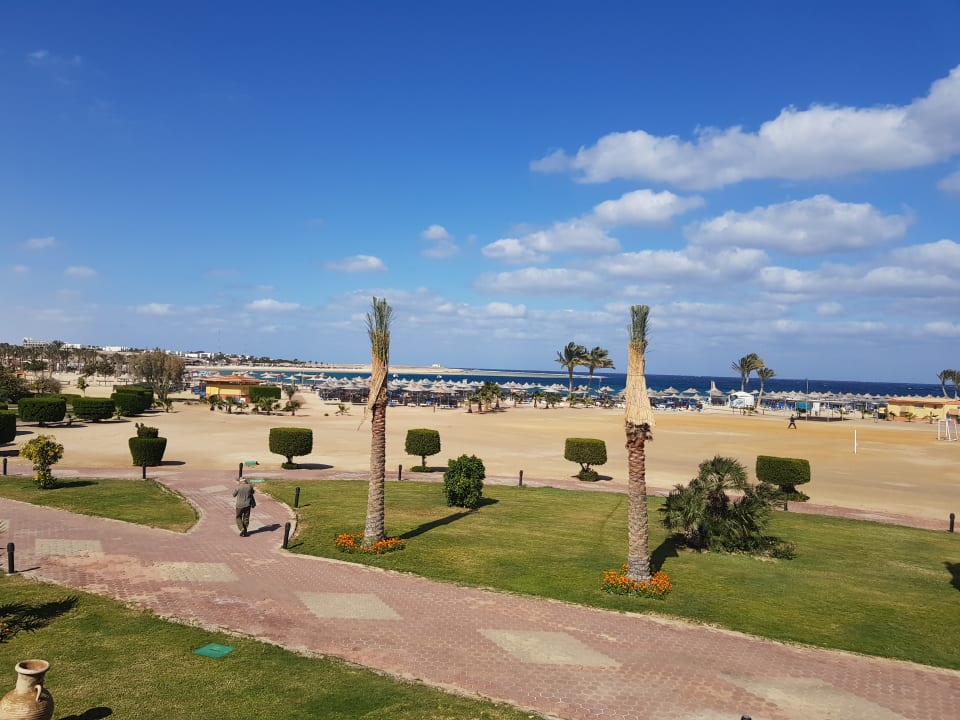 Ausblick Malikia Resort Abu Dabbab