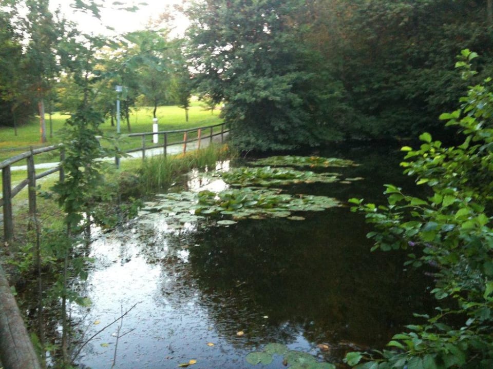 Teich Reduce Hotel Thermal Bad Tatzmannsdorf