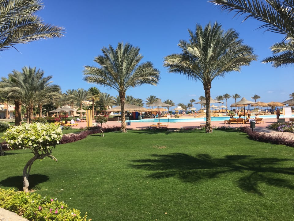 Pool Three Corners Sea Beach Resort