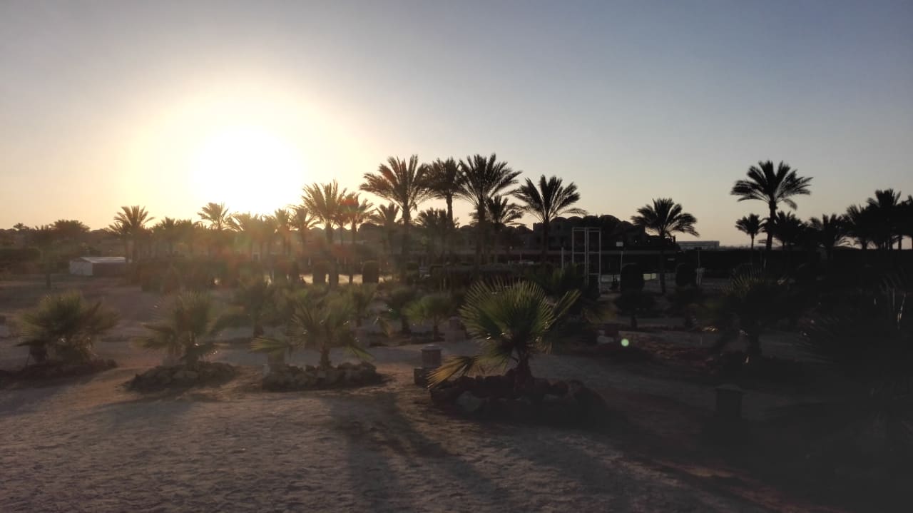 Tolle Sonnenuntergänge gibt es hier! Gemma Resort