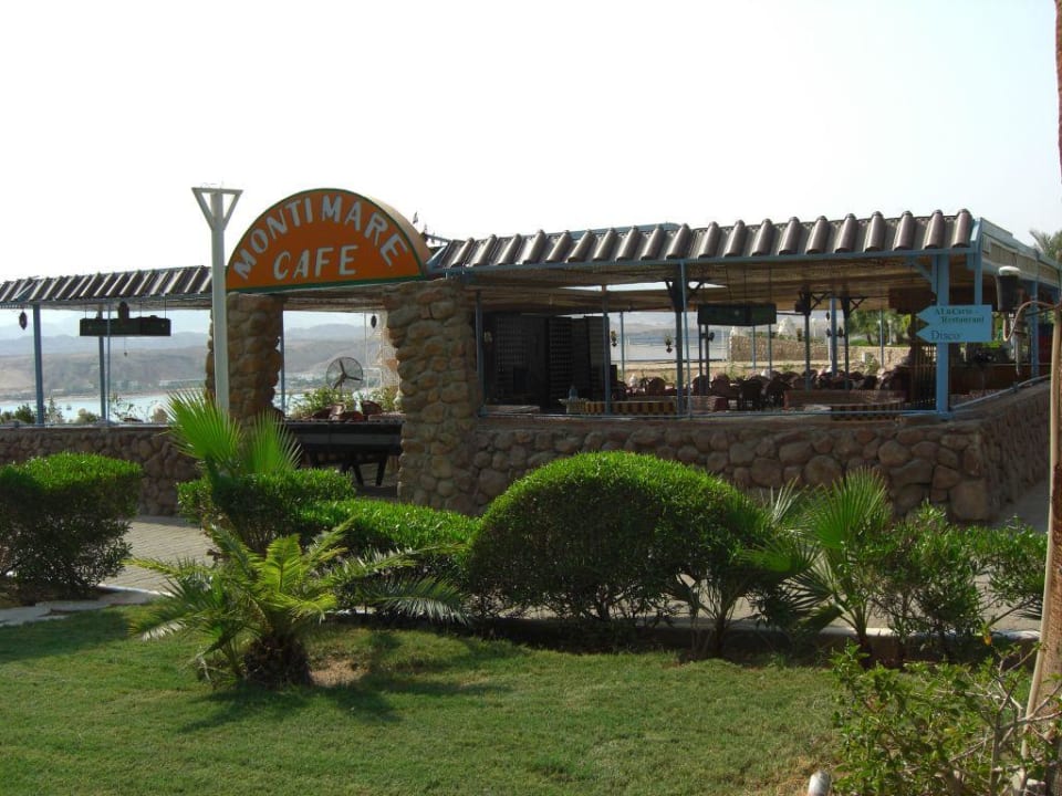 gemütliche Bar Albatros Sharm Resort