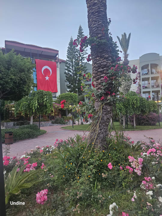 Ausblick Hotel Gardenia Beach