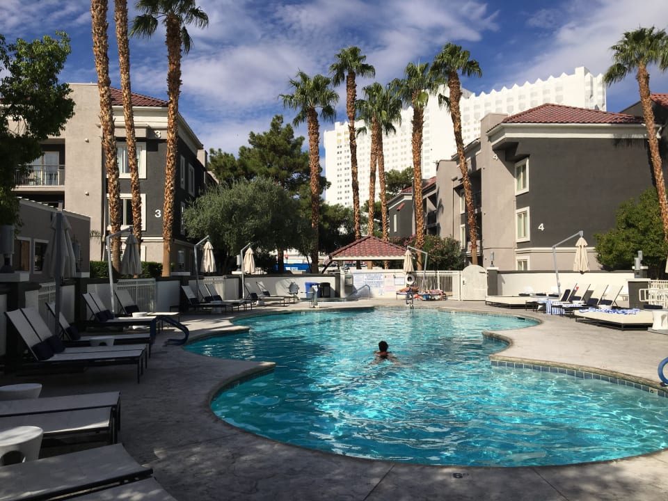 Pool Hotel Desert Rose Resort