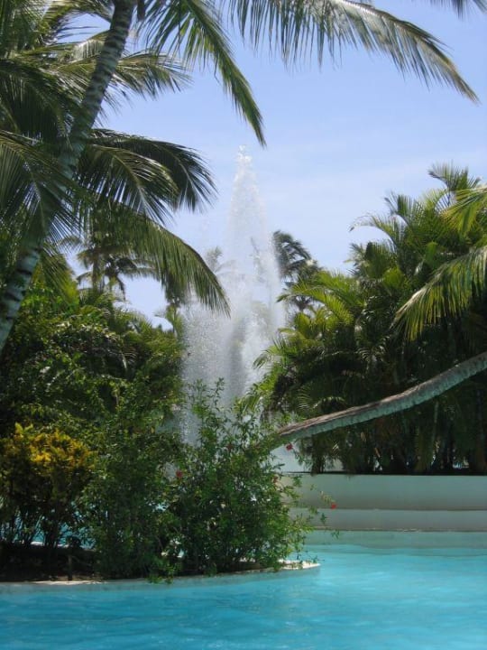 Swimming-Pool Catalonia Punta Cana - All Inclusive