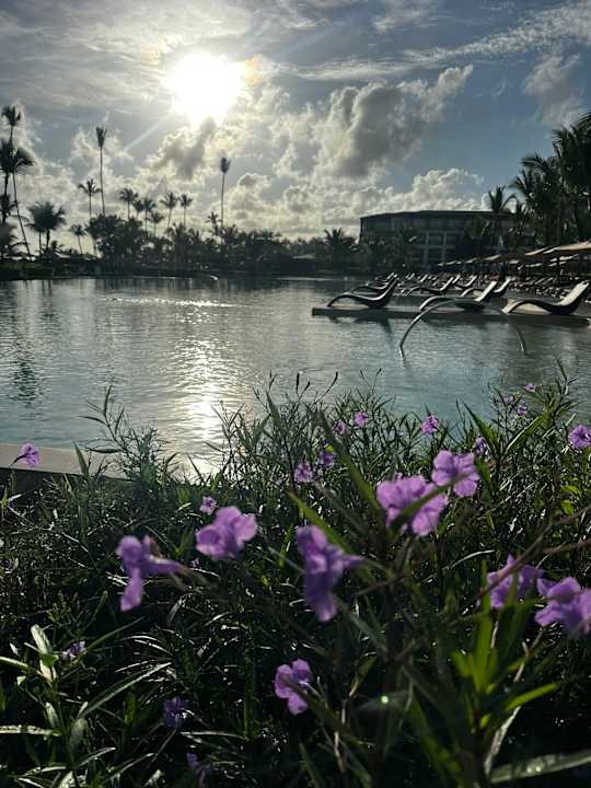 Pool Lopesan Costa Bávaro Resort, Spa & Casino