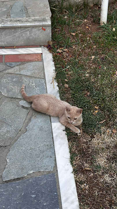 Ausblick Marina Sands Hotel