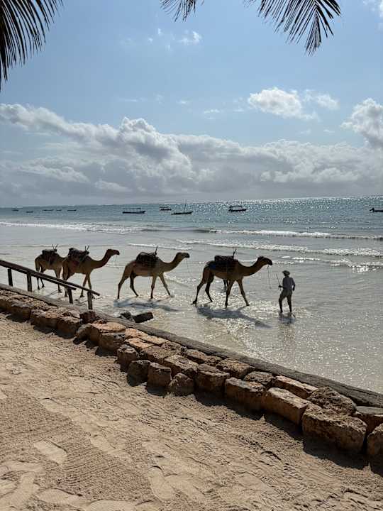 Sonstiges Diani Sea Resort