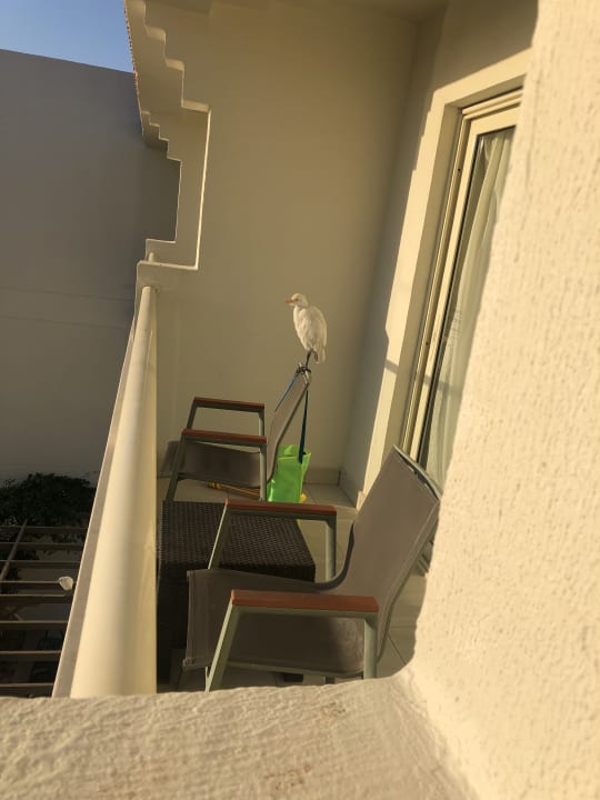Zimmer Amarina Abu Soma Resort & Aquapark
