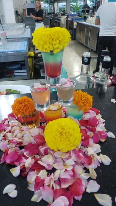 Gastro Sultan of Dreams Hotel & Spa