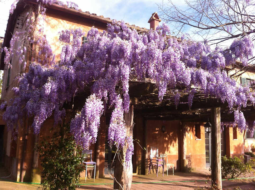 Panorama Casa Caponetti