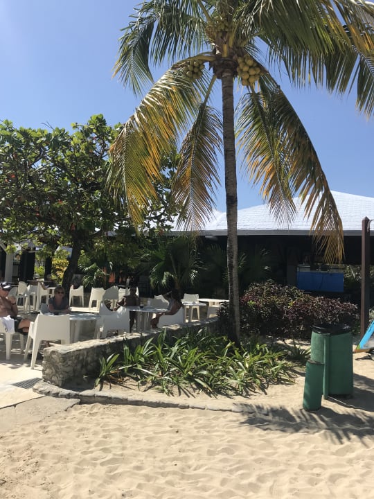 Gastro Grand Paradise Playa Dorada