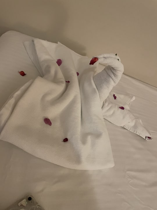 Zimmer Wyndham Garden Lara