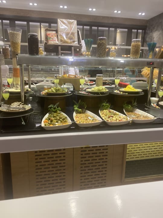 Gastro Seashell Vega