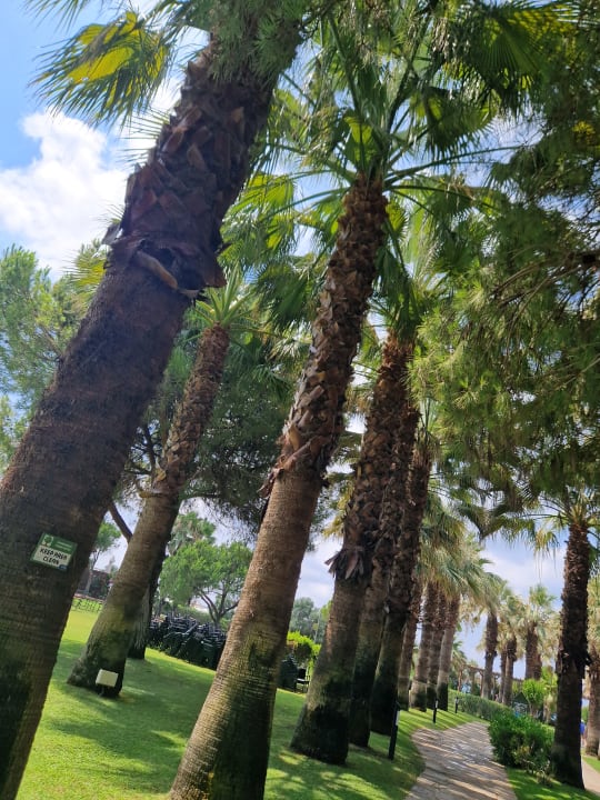 Gartenanlage Blue Waters Club