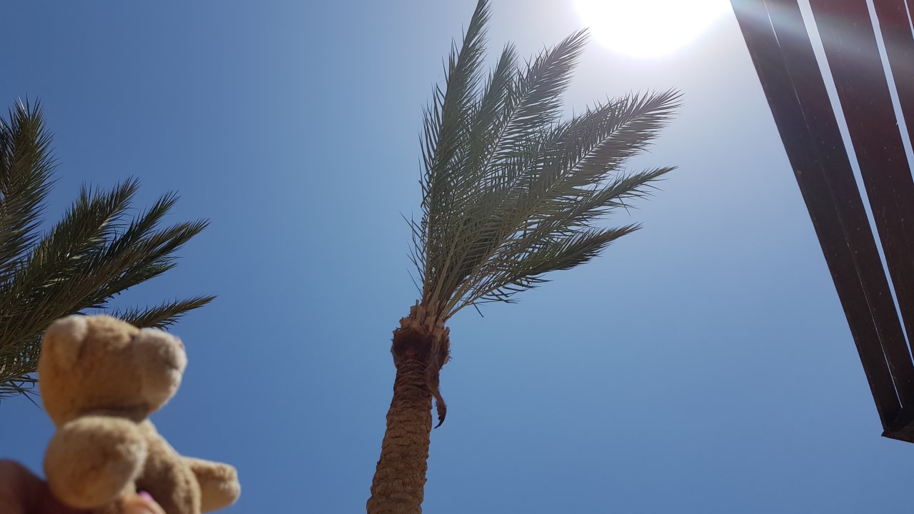 Strand Steigenberger Aqua Magic