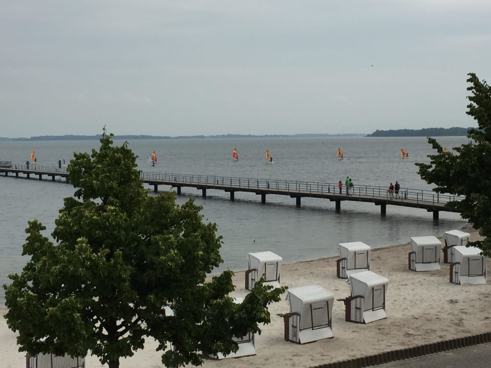Ausblick vom Zimmer Strandhotel Dranske
