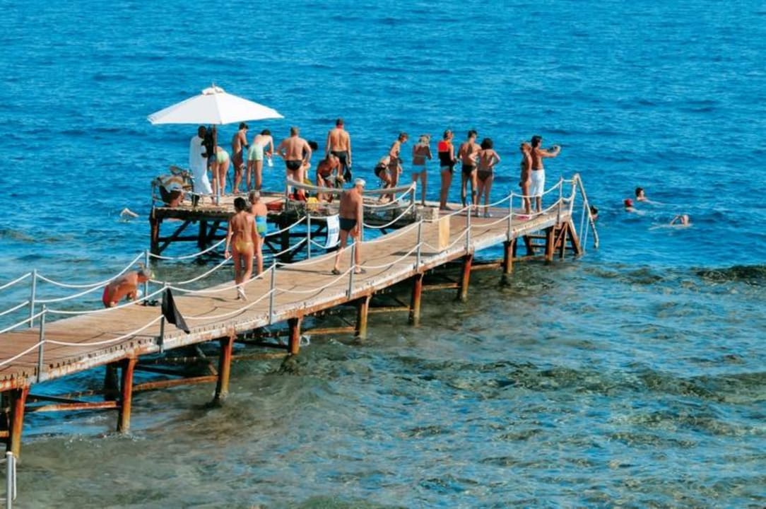 The Beach Amphoras Blu