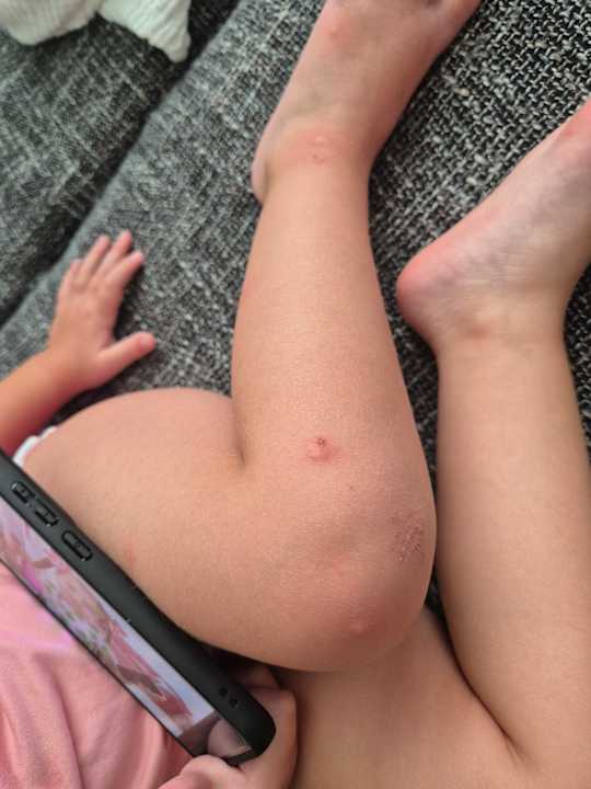 Sonstiges AQI Pegasos World