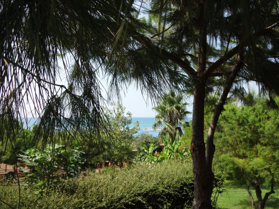 Blick zum Meer Trendy Aspendos Beach Hotel