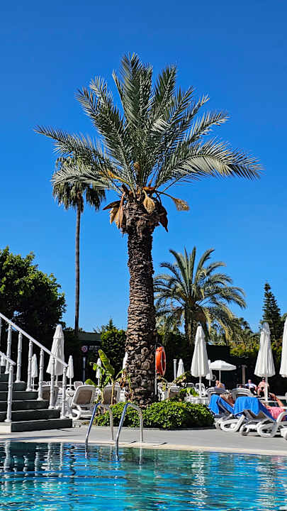 Gartenanlage Arycanda Kirman Premium