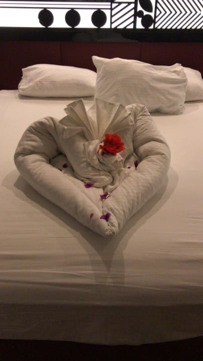 Zimmer Hotel Delphin Imperial