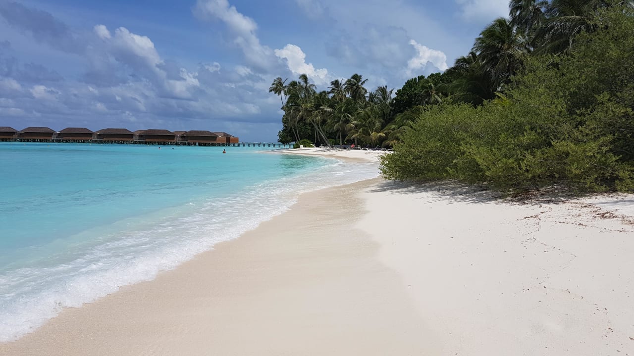 Traumstrand Meeru Maldives Resort Island