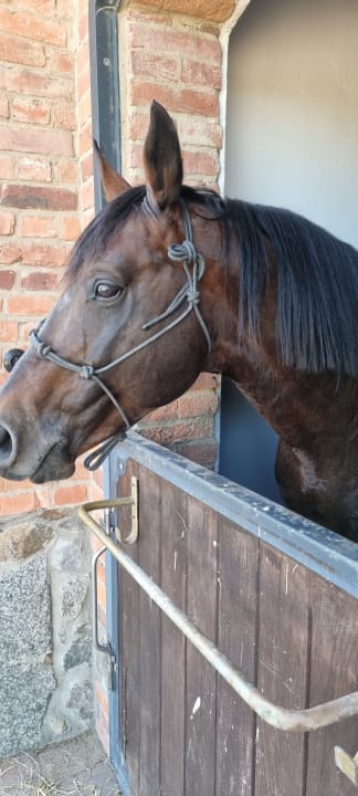 Sport & Freizeit Pałac Ciekocinko Hotel Resort & Wellness