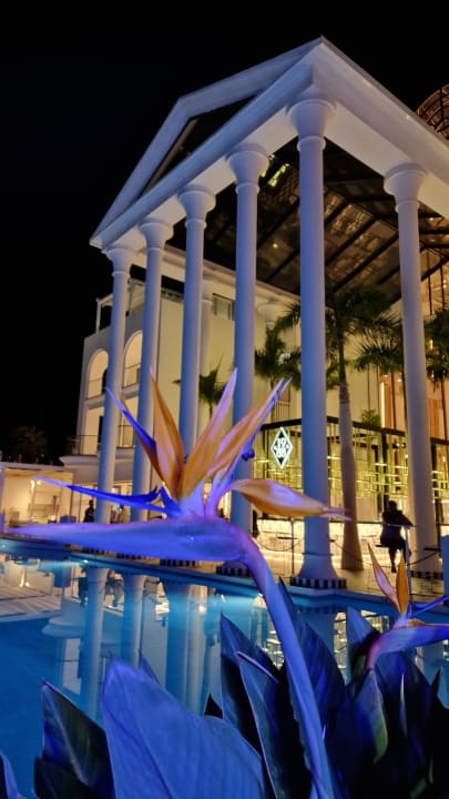 Außenansicht Guayarmina Princess