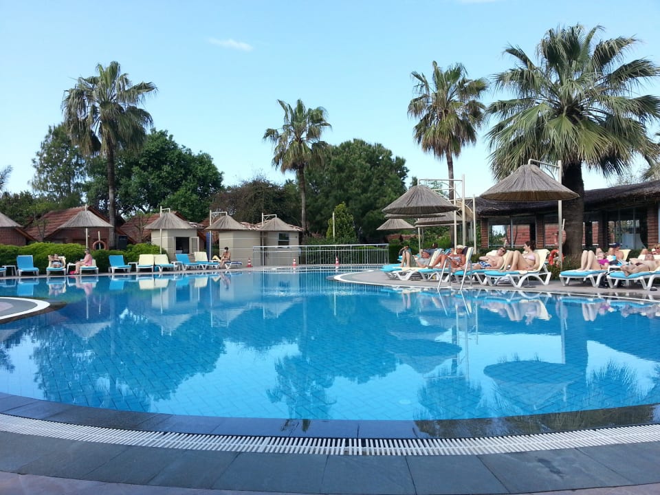 Pool Can Garden Beach