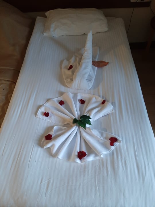 Zimmer Side Star Beach