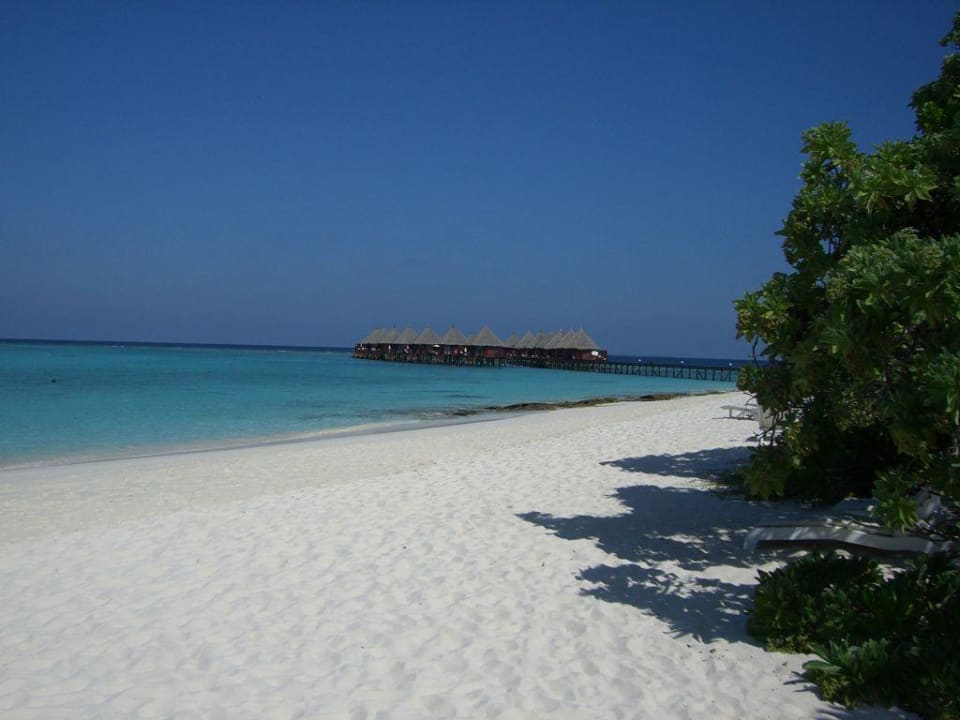 Wasserbungalows Angaga Island Resort