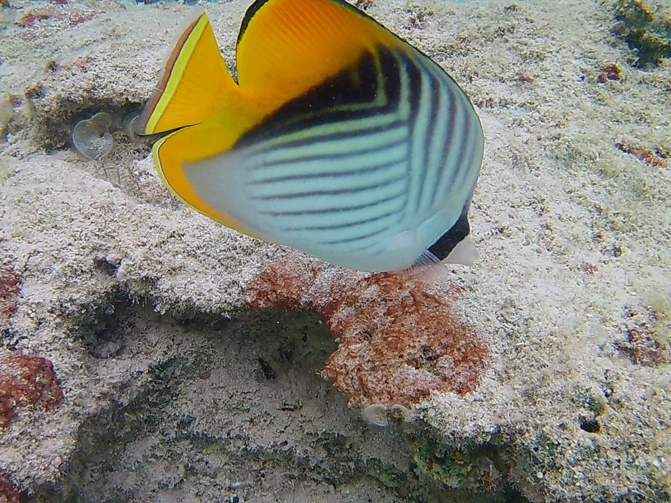 Strand Three Corners Sea Beach Resort