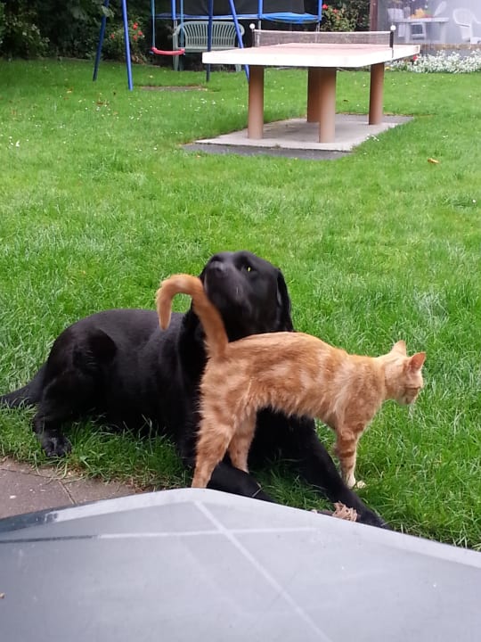 Ferienhof Röhling Ferienhof Röhling