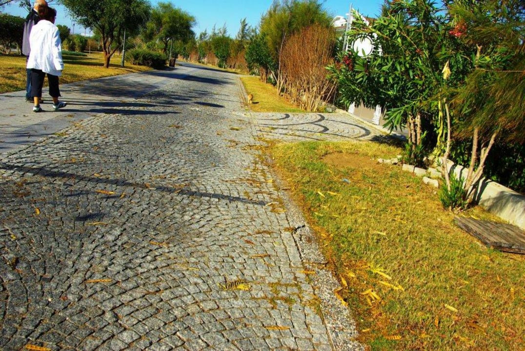 Stand am 12.12.2011 TUI BLUE Xanthe