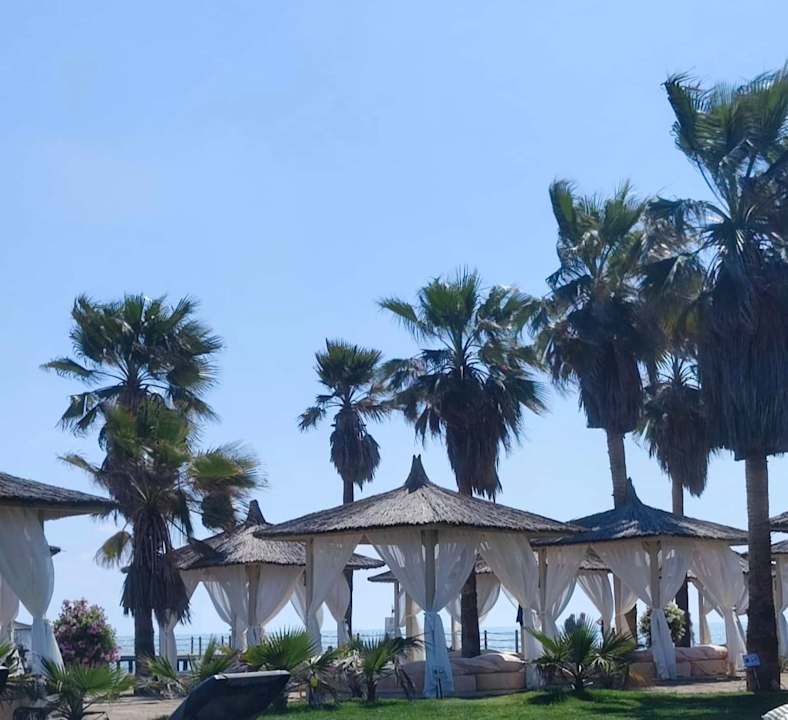 Strand ROBINSON NOBILIS