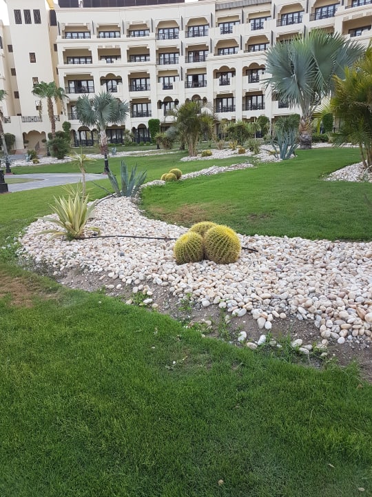 Gartenanlage Steigenberger ALDAU Beach Hotel