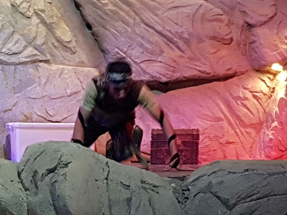 Schlangen Show Titanic Resort & Aqua Park