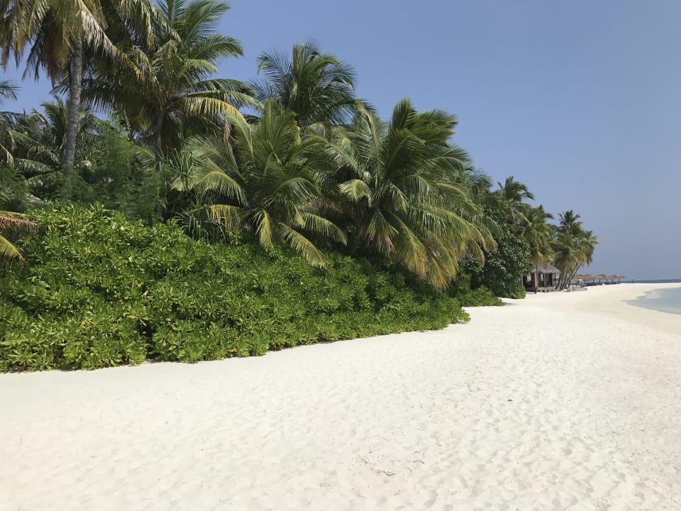 Strand Veligandu Maldives Resort Island