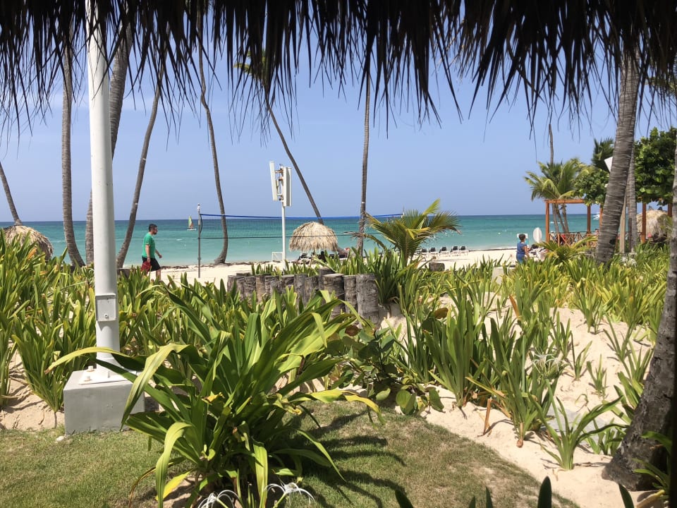 Gastro Grand Palladium Select Bávaro Resort & Spa