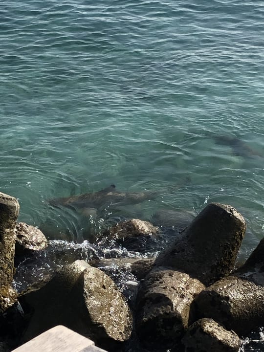 Strand Kuredu Island Resort & Spa