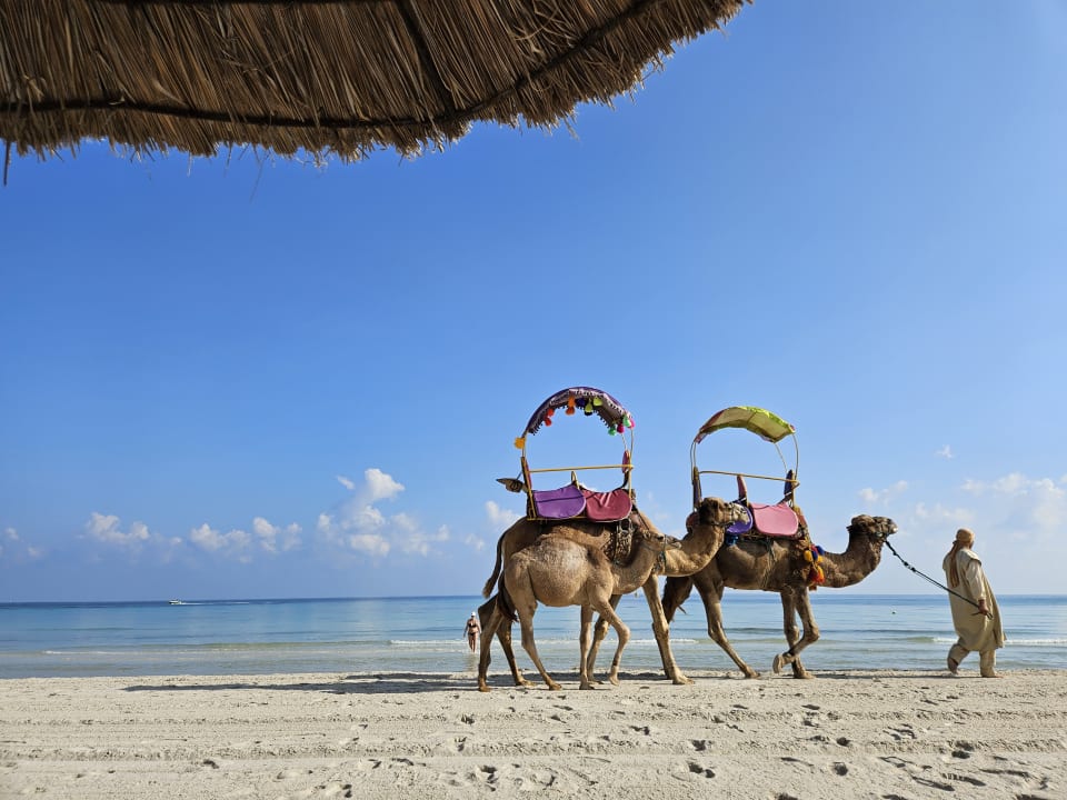 Strand Hotel Dar El Bhar