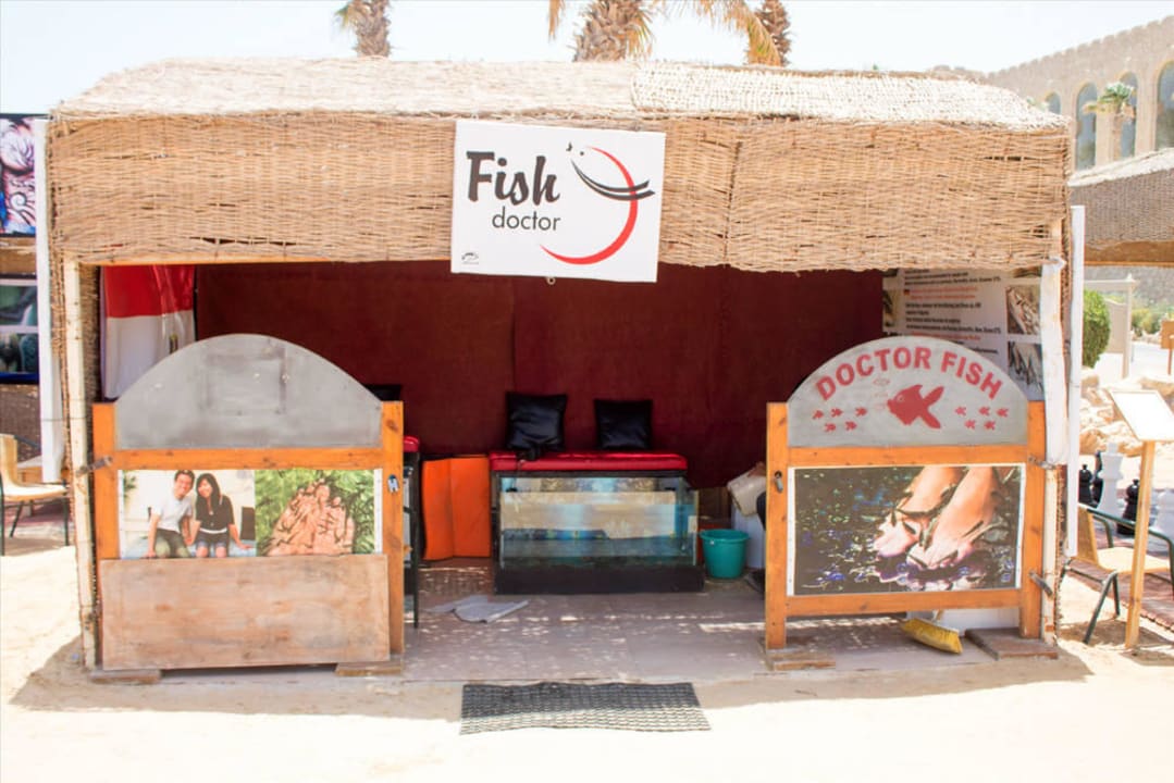 Dr. Fish, sehr zu empfehlen - am Strand  Pickalbatros Citadel Resort