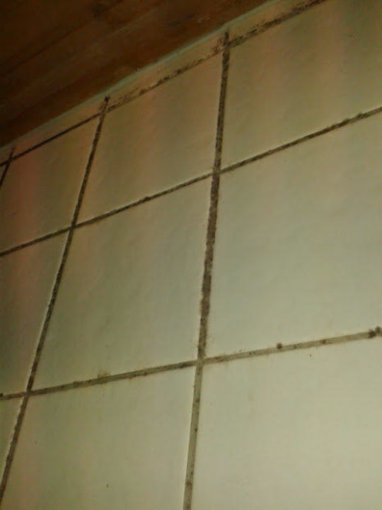 Duschkabine - unsauber, unhygienisch und eklig! Gasthof Naturfreundehaus Am Hahnenschnabel