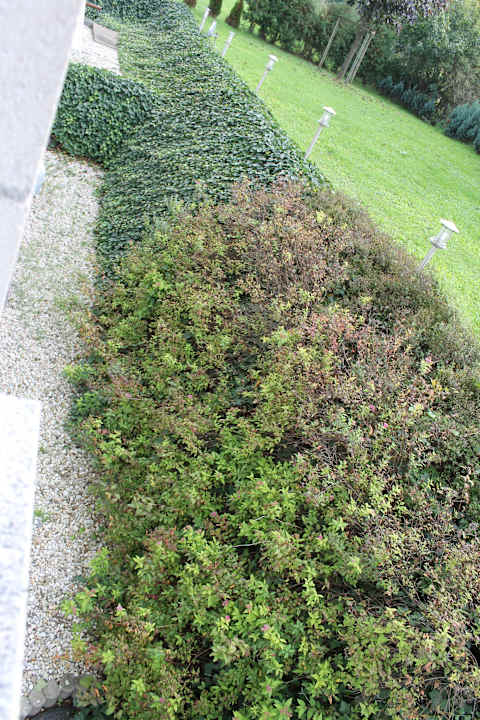 Blick vom Fenster Hotel Nord