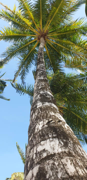Gartenanlage Vilamendhoo Island Resort & Spa