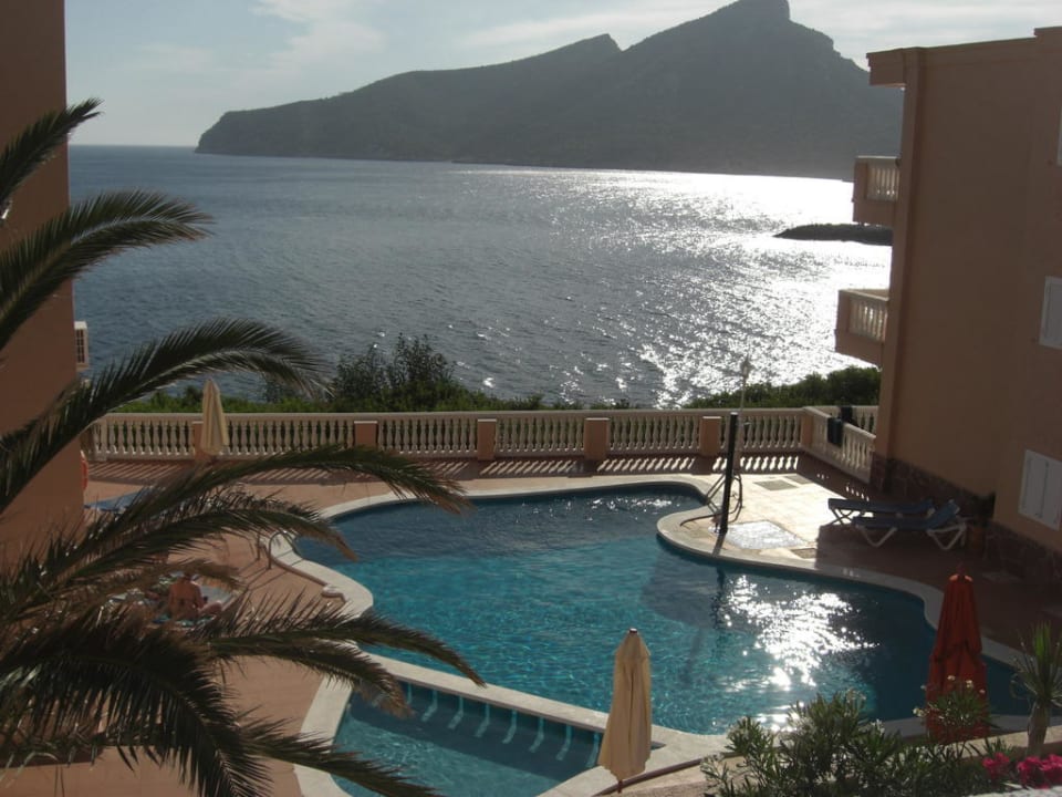 Pool und Blick aufs Meer Hotel Amores
