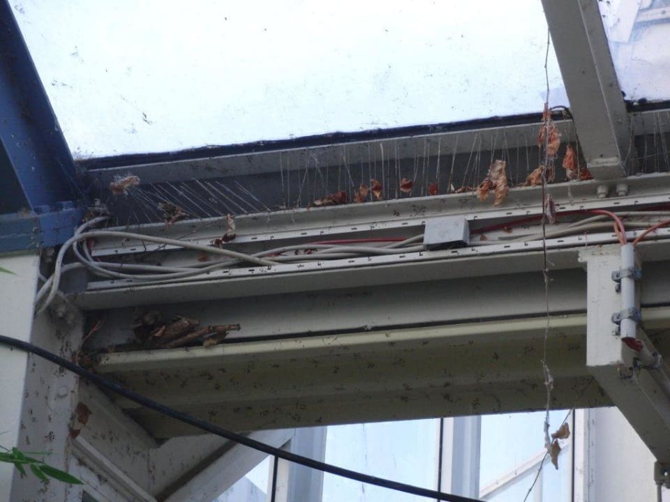 Eingang zur Galeria an der Düne Ferienwohnungen Ferienpark Weissenhäuser Strand