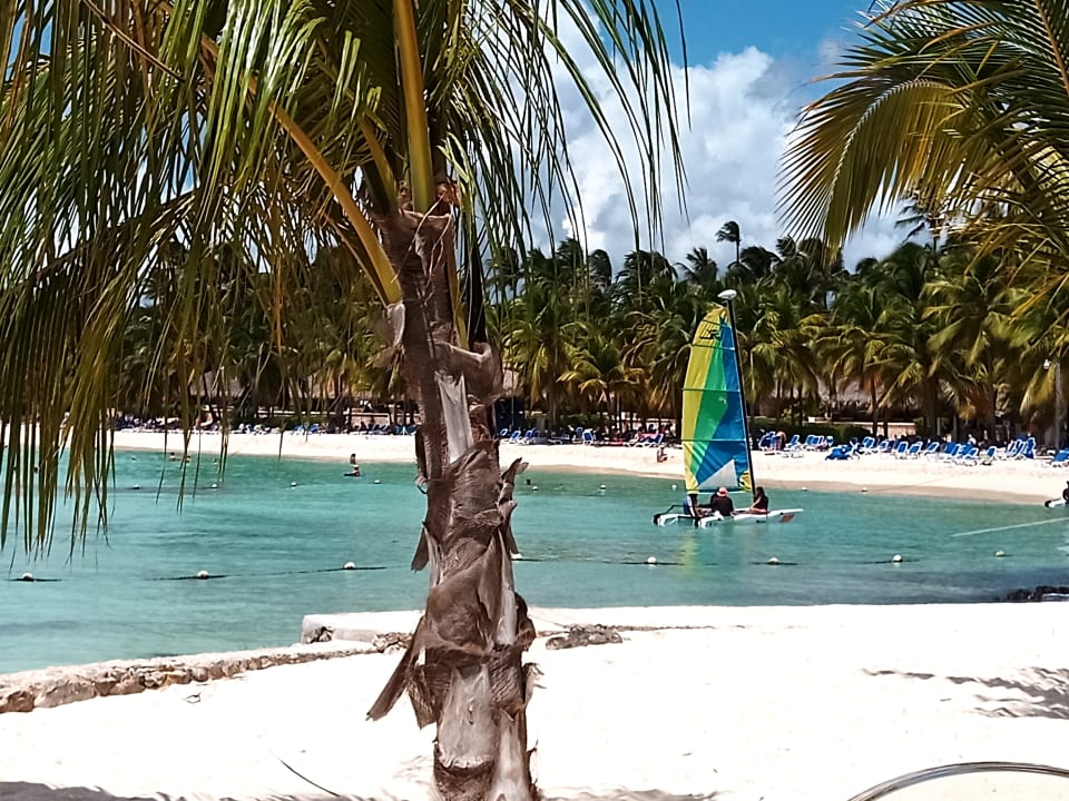 Strand Hotel Viva Dominicus Beach by Wyndham - All Inclusive Resort